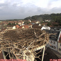 09_20-nest.jpg