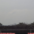 09_25-mast.jpg