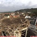 09_25-nest.jpg