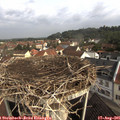 09_30-nest.jpg