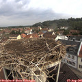 09_40-nest.jpg