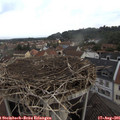09_45-nest.jpg