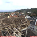 10_10-nest.jpg