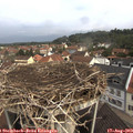 10_20-nest.jpg