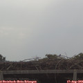 10_25-mast.jpg