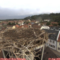 10_25-nest.jpg