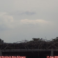 10_35-mast.jpg