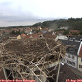 10_35-nest.jpg