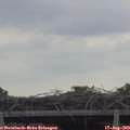 10_50-mast.jpg