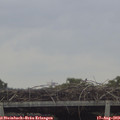 11_00-mast.jpg