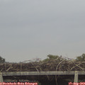 11_10-mast.jpg