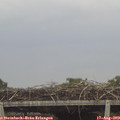 11_15-mast.jpg