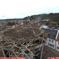11_35-nest.jpg