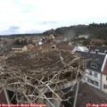 11_40-nest.jpg