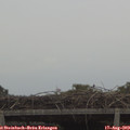 11_45-mast.jpg