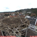 11_55-nest.jpg