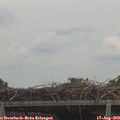 12_05-mast.jpg