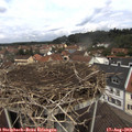 12_05-nest.jpg