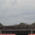 12_15-mast.jpg