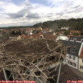 12_15-nest.jpg