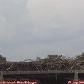 12_20-mast.jpg