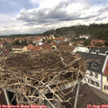 12_20-nest.jpg