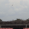 12_25-mast.jpg
