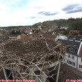 12_25-nest.jpg