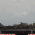 12_30-mast.jpg