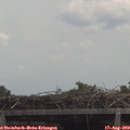 12_35-mast.jpg