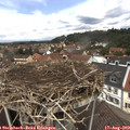 12_35-nest.jpg