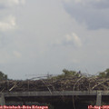 12_40-mast.jpg
