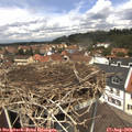 12_40-nest.jpg