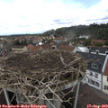 12_45-nest.jpg