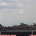 12_50-mast.jpg