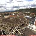 12_55-nest.jpg