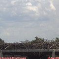 13_00-mast.jpg