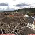 13_00-nest.jpg