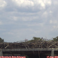 13_05-mast.jpg