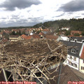 13_05-nest.jpg
