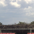 13_10-mast.jpg