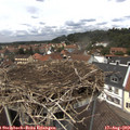 13_10-nest.jpg