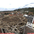 13_15-nest.jpg