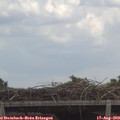 13_20-mast.jpg