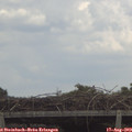 13_25-mast.jpg