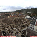 13_25-nest.jpg