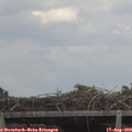 13_35-mast.jpg