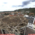 13_35-nest.jpg