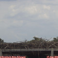 13_40-mast.jpg