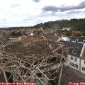 13_40-nest.jpg